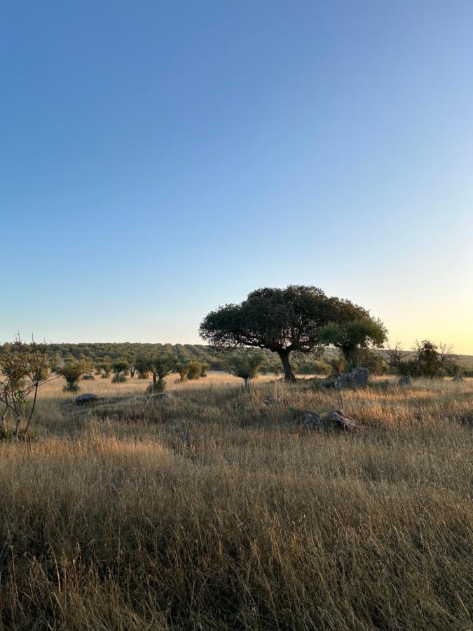 蒙萨拉什Monte De Santa Maria别墅 外观 照片